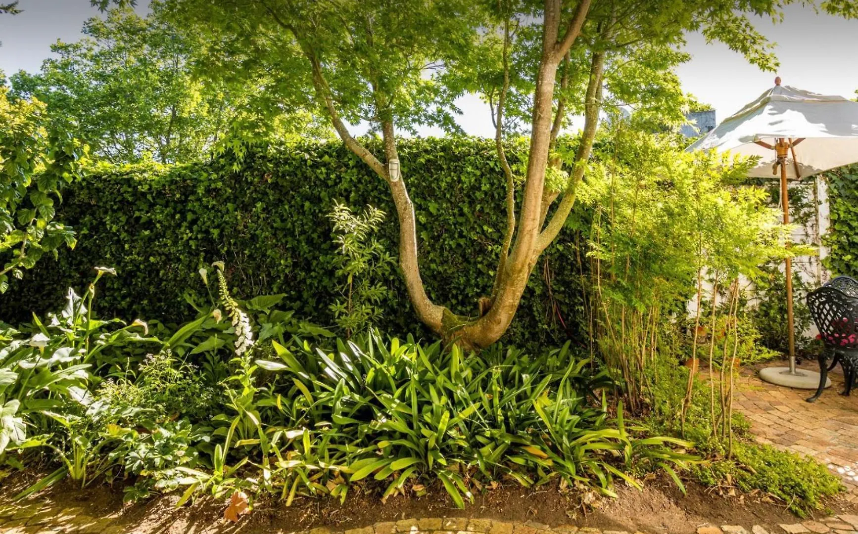 Guest Suite - Leafy Constantia Guest House Cape Town